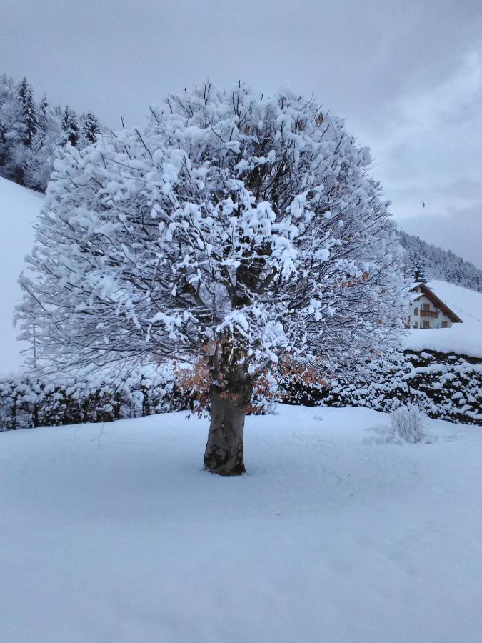 Haus Kieler Apartment Schladming Luaran gambar